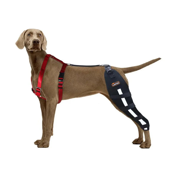 Luxating Patella Dog Knee Brace For Single Leg